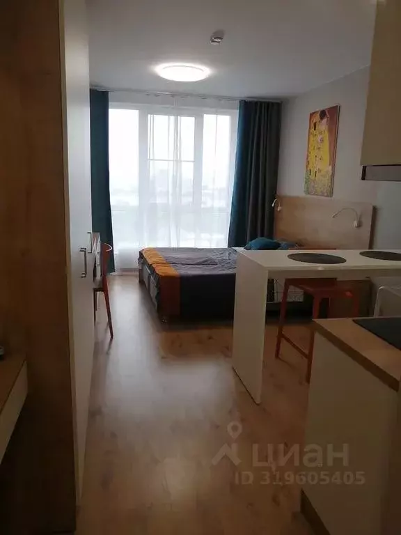 1-к кв. Санкт-Петербург пос. Парголово, проезд Толубеевский, 8к2 (25.0 ... - Фото 1