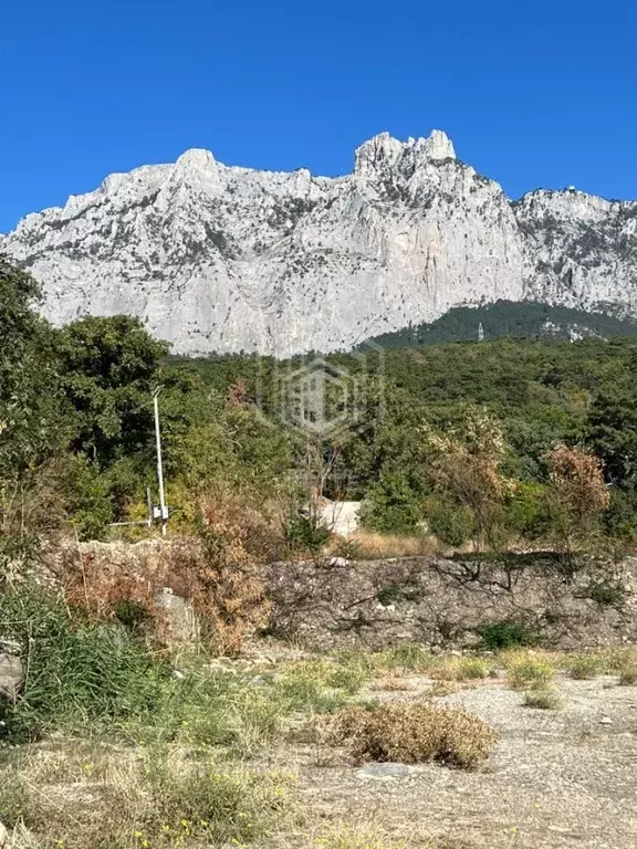 Участок в Крым, Ялта муниципальный округ, Кореиз пгт, пос. Мисхор  ... - Фото 2