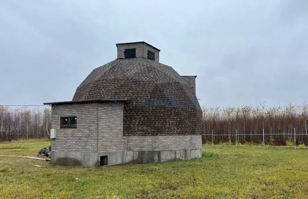 Дом в Нижегородская область, Богородский муниципальный округ, д. ... - Фото 2