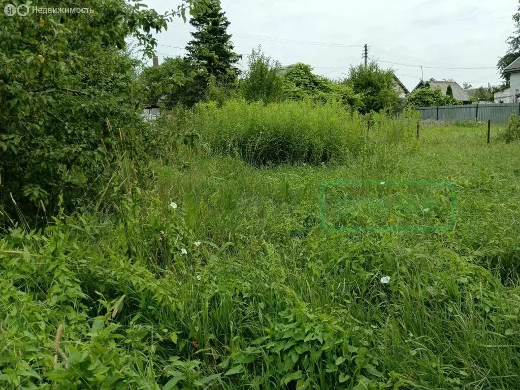 Участок в Калининград, СНТ 50 лет Октября, Ключевая улица (5.17 м) - Фото 1