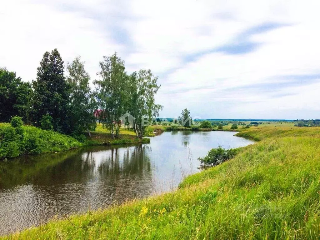 Участок в Ленинградская область, Ломоносовский район, Ропшинское ... - Фото 0