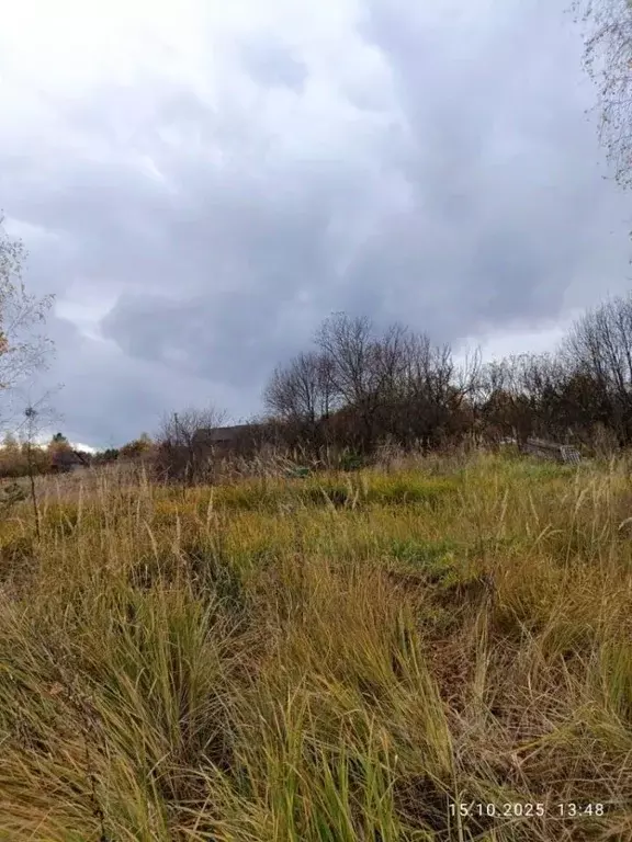 Участок в Тамбовская область, Сосновский муниципальный округ, с. ... - Фото 1