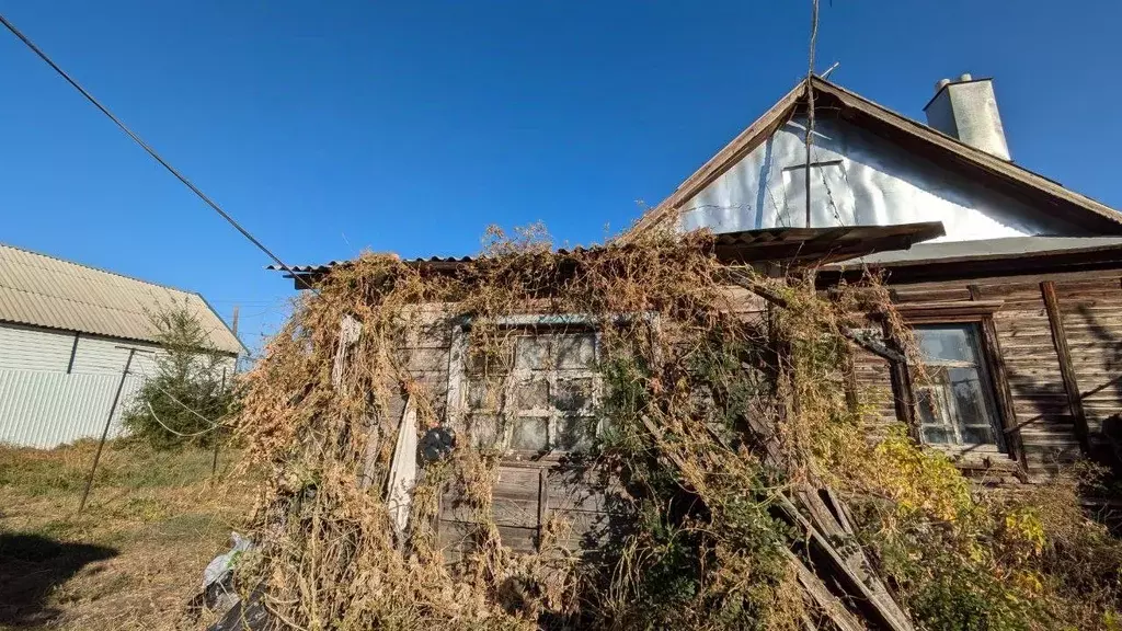 Дом в Волгоградская область, Волгоград Омская ул. (40 м) - Фото 1