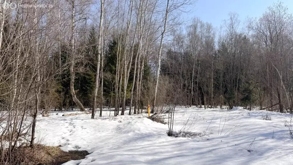 Участок в Калужская область, Жуковский муниципальный округ, СНТ ... - Фото 2