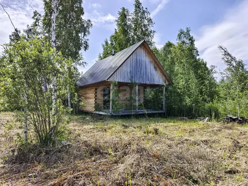 Участок в Тюменская область, Нижнетавдинский муниципальный округ, ... - Фото 1