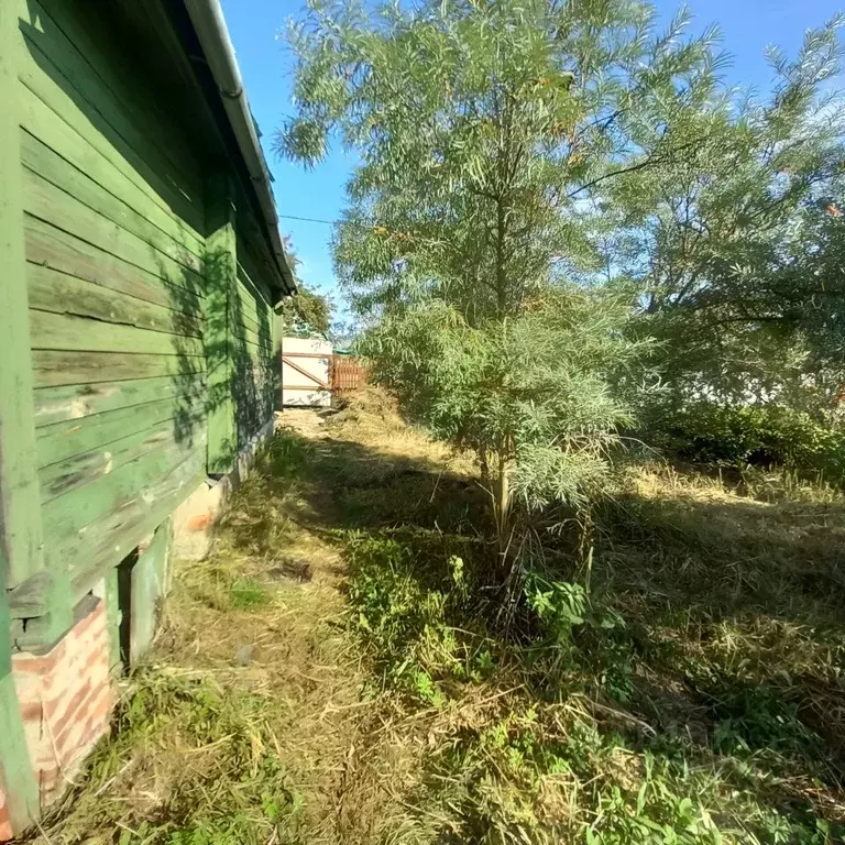 Дом в Московская область, Ликино-Дулево Орехово-Зуевский городской ... - Фото 1