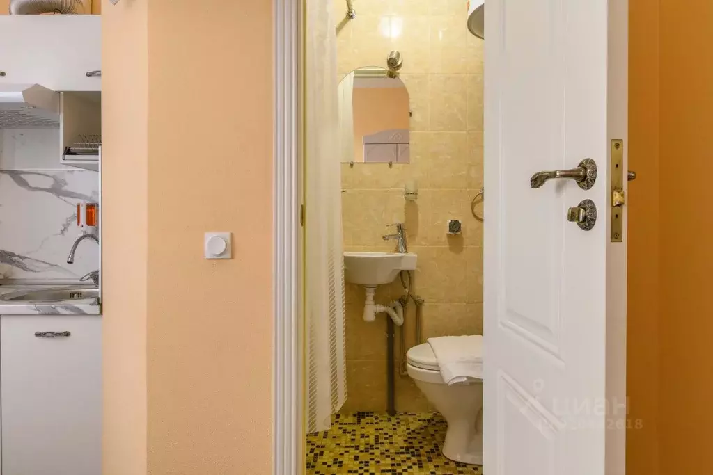 1-к кв. Санкт-Петербург просп. Большой Петроградской стороны, 56 (15.0 ... - Фото 2