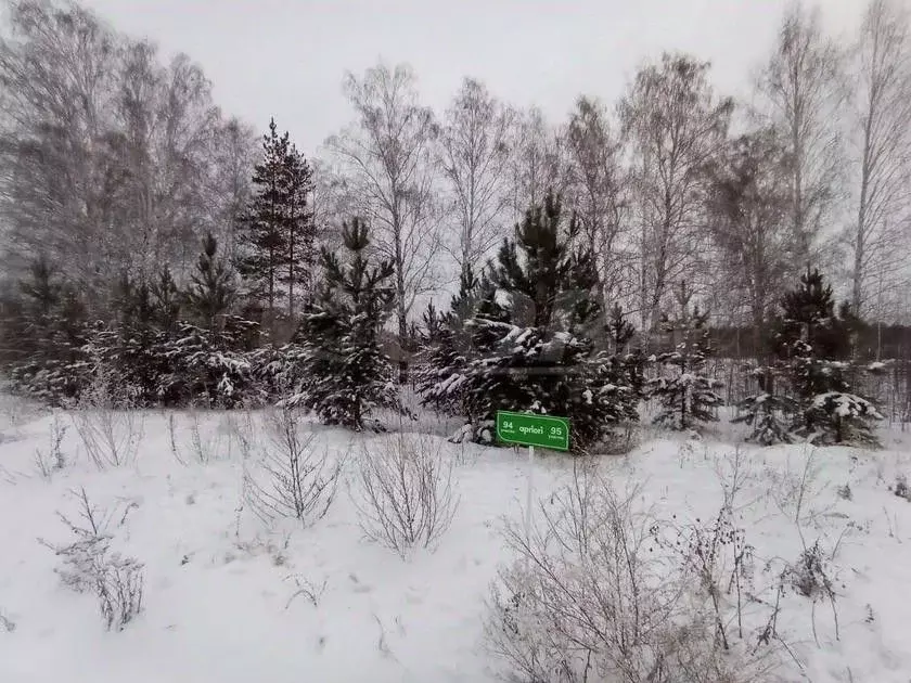 Участок в Тюменская область, Тюменский район, с. Каменка  (9.0 сот.) - Фото 0