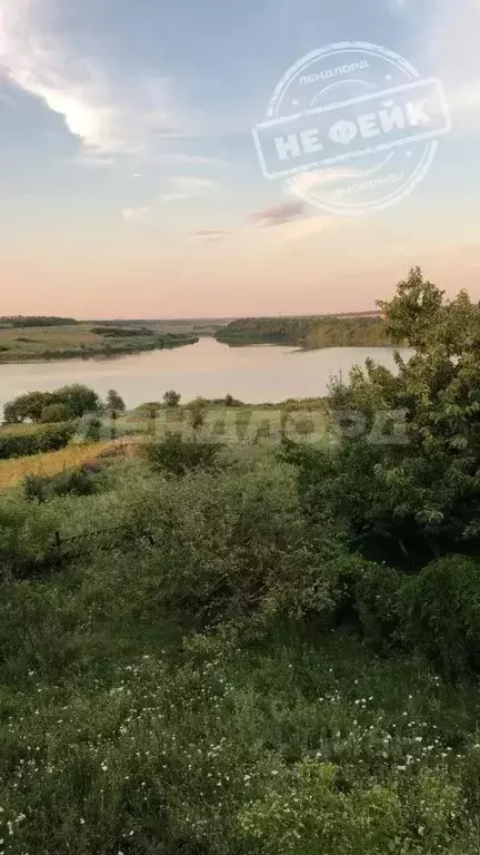 Участок в Ростовская область, Неклиновский район, Синявское с/пос, ... - Фото 1