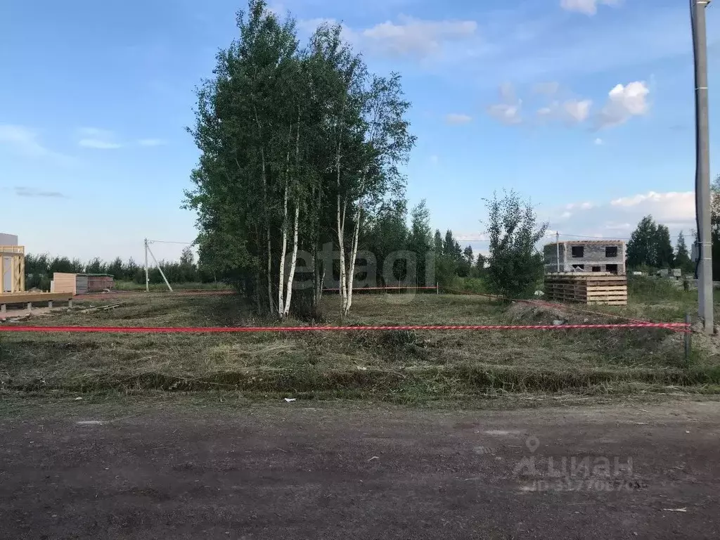 Участок в Ленинградская область, Всеволожск ул. Ильинская, 38 (6.5 ... - Фото 0