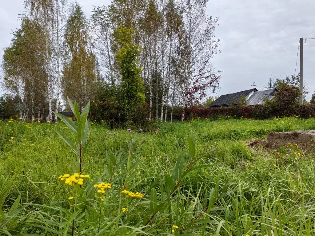 Продается участок в д. Костино - Фото 1