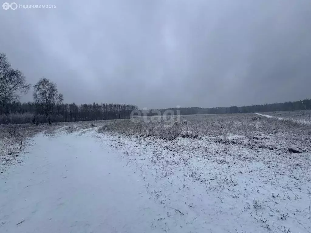 Участок в Нижегородская область, Балахнинский муниципальный округ, ... - Фото 0