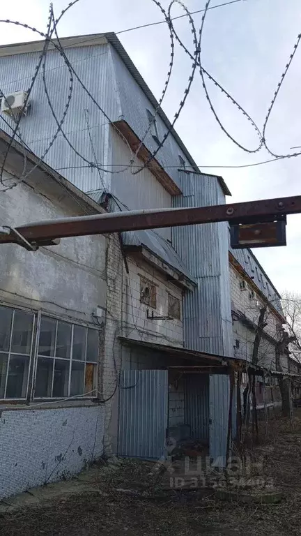 Помещение свободного назначения в Самарская область, Тольятти ... - Фото 1