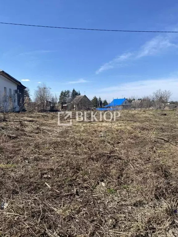 Участок в Ярославская область, Некрасовское с/пос, с. Левашово ул. ... - Фото 0