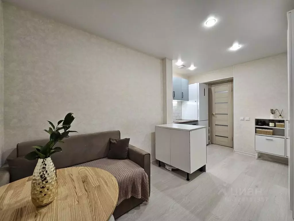 Студия Пермский край, Пермь ул. Плеханова, 62 (27.0 м) - Фото 1