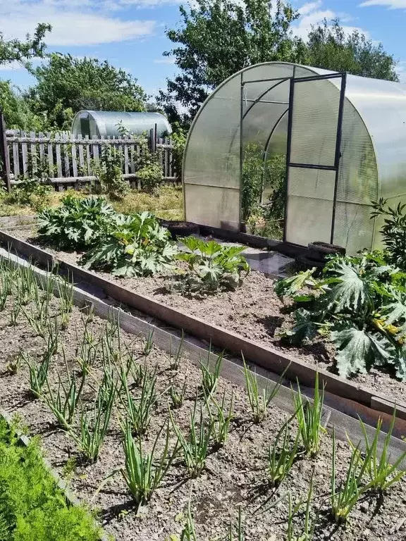 Участок, 7 сот., сельхоз (снт или днп) - Фото 1