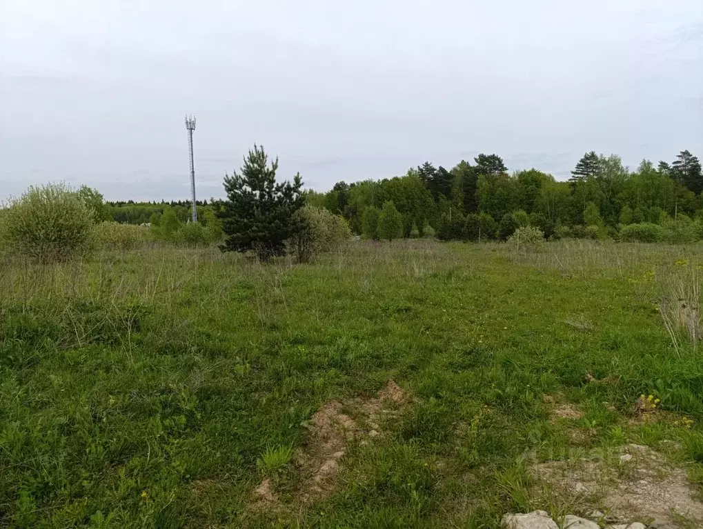 Участок в Калужская область, Малоярославецкий муниципальный округ, ... - Фото 1