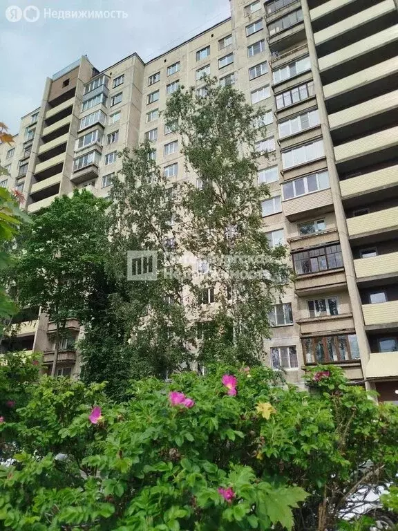 2-комнатная квартира: Санкт-Петербург, улица Передовиков, 37 (51.1 м) - Фото 2