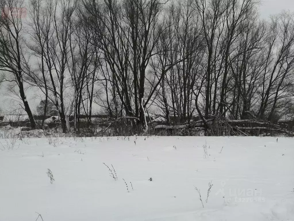 Участок в Воронежская область, Новоусманский район, с. Рыкань ... - Фото 0