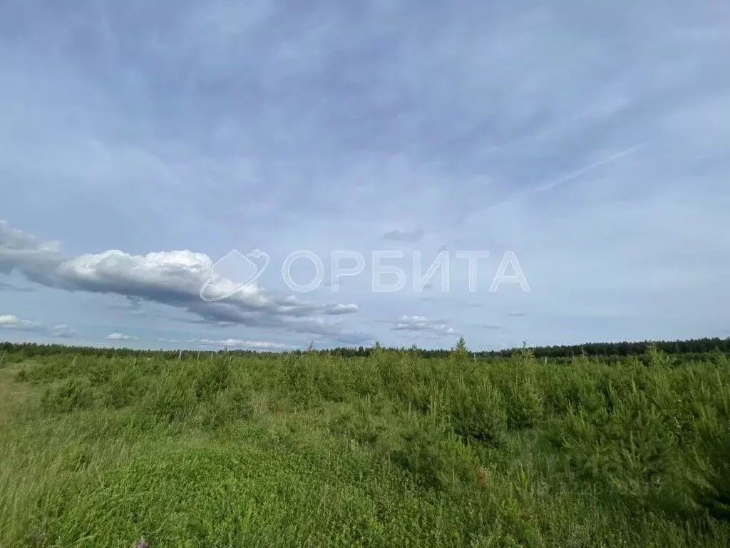 Участок в Свердловская область, Тугулым пгт пл. 50-летия Октября (16.0 ... - Фото 1