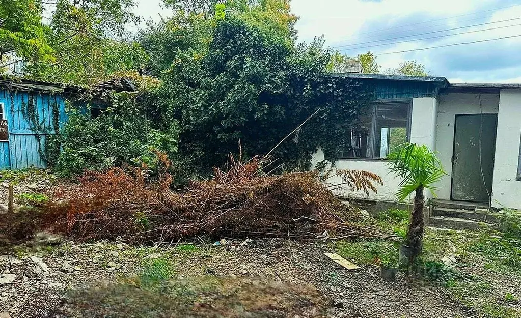 Участок в Крым, Ялта муниципальный округ, Кореиз пгт спуск Мисхорский, ... - Фото 1