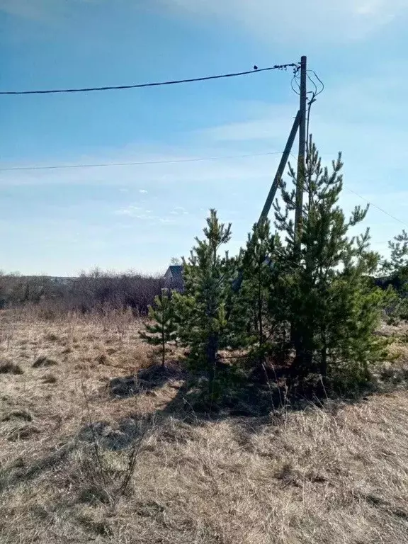Участок в Свердловская область, Белоярский муниципальный округ Р-354, ... - Фото 1