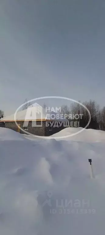Участок в Пермский край, Чусовой Южный мкр, ул. Энергетиков, 74 ... - Фото 1