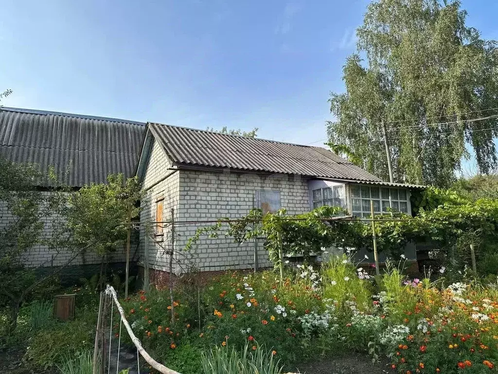 Дом в Брянская область, Брянск Десна-2 садовое общество,  (33 м) - Фото 1