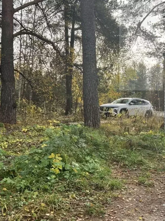 Участок в Ивановская область, Ивановский район, Куликовское с/пос, д. ... - Фото 1