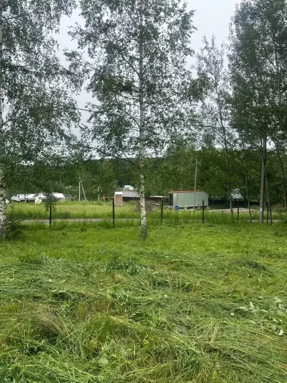 Участок в Московская область, Солнечногорск городской округ, Надежда ... - Фото 1