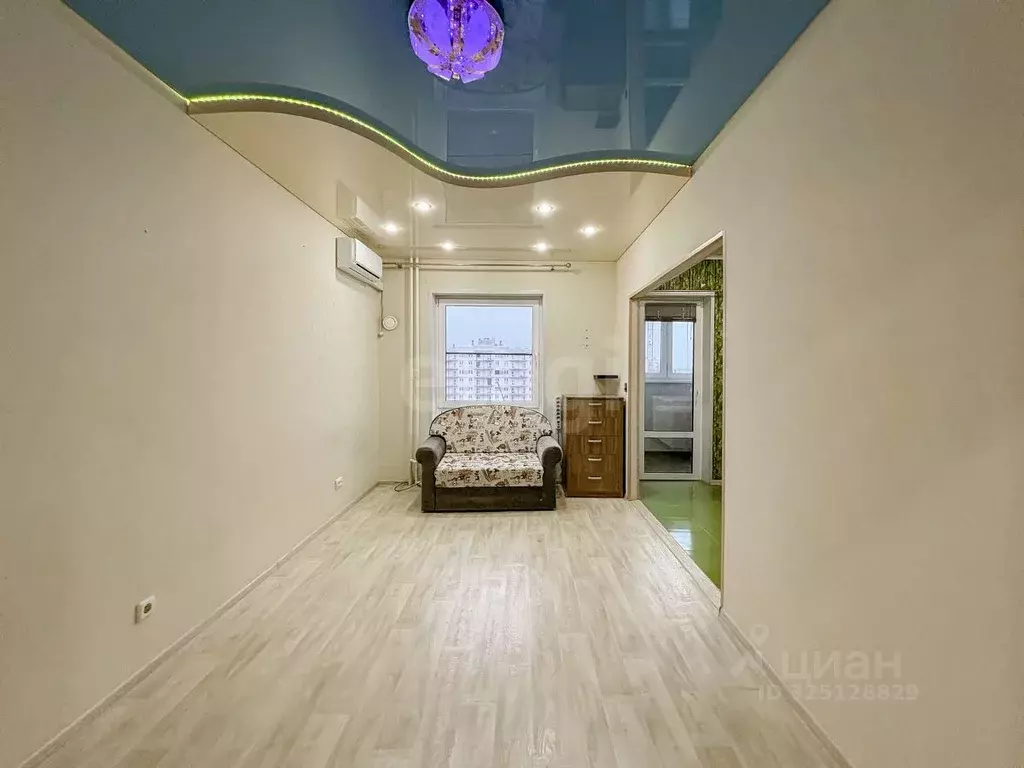 Студия Псковская область, Псковский район, Завеличенская волость, д. ... - Фото 1