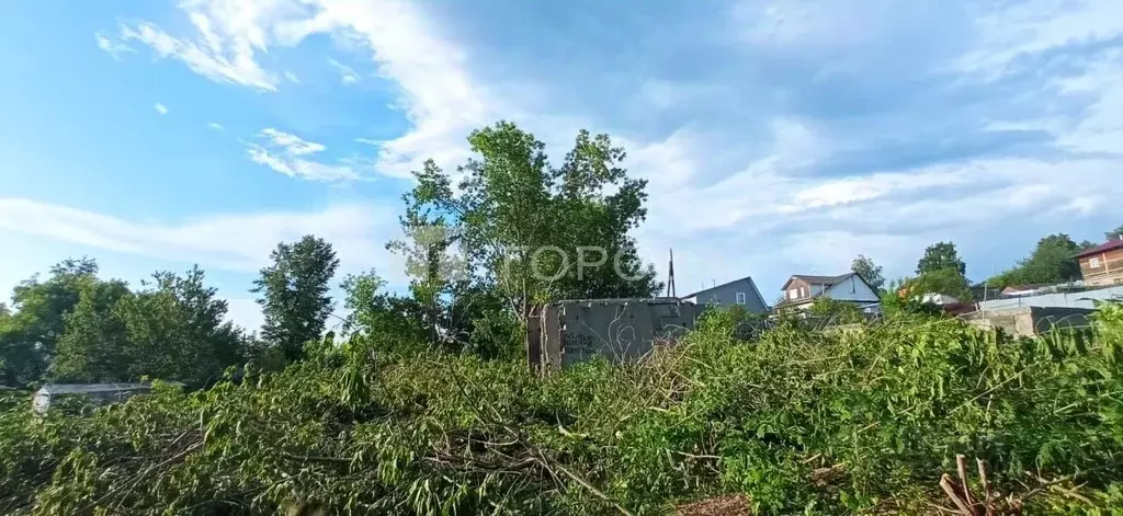 Участок в Алтайский край, Барнаул ул. Третьякова, 8 (5.0 сот.) - Фото 1