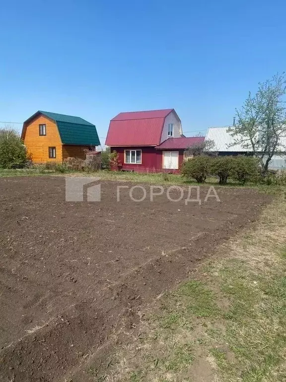 Участок в Новосибирская область, Новосибирск Рабис СНТ, 36 (6.0 сот.) - Фото 1