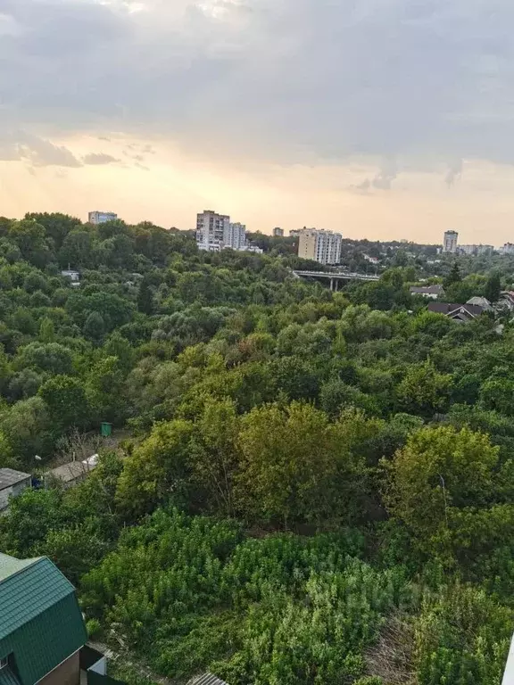 1-к кв. Брянская область, Брянск ул. Фокина, 125 (47.0 м) - Фото 2