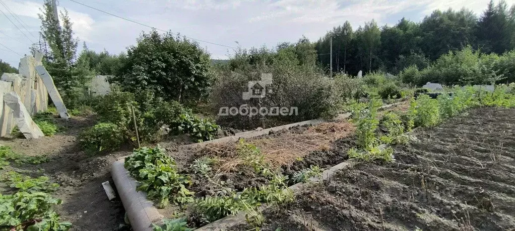 Участок в Свердловская область, Верхняя Пышма городской округ, пос. ... - Фото 2