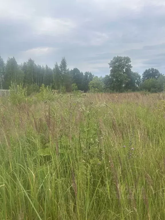 Участок в Нижегородская область, Володарск Полевая ул., 1 (8.0 сот.) - Фото 2