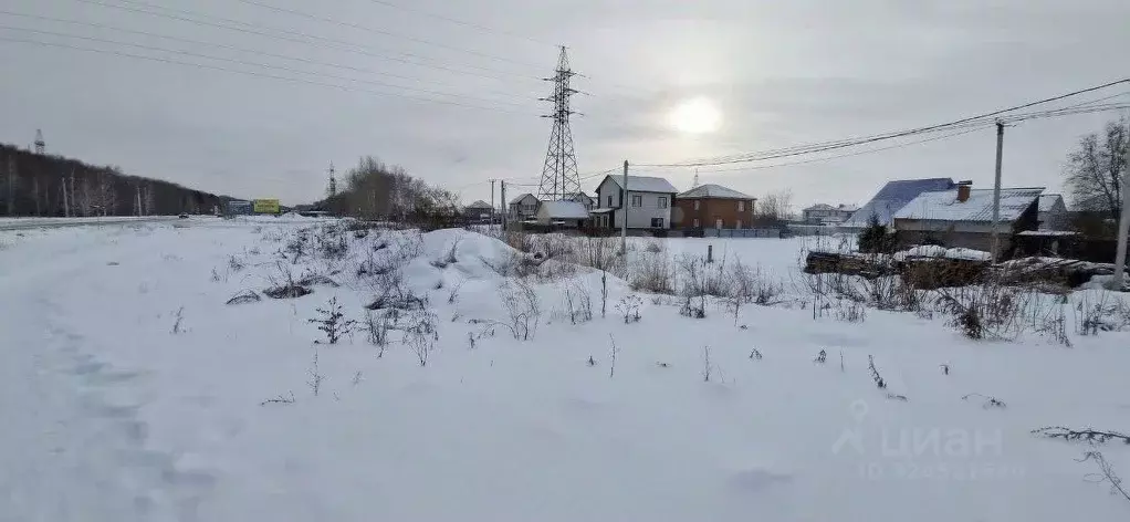 Участок в Новосибирская область, Новосибирский район, с. Толмачево ул. ... - Фото 1