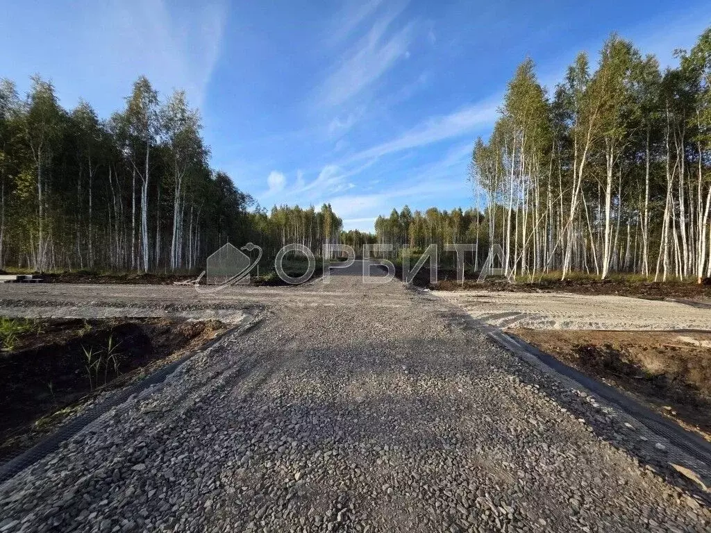 Участок в Тюменская область, Нижнетавдинский муниципальный округ, ... - Фото 2