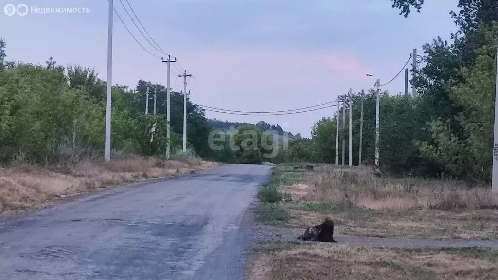 Участок в Родионово-Несветайский район, слобода Большекрепинская (23 ... - Фото 1