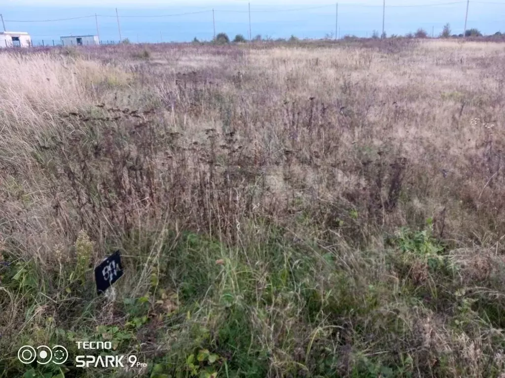 Участок в Калининградская область, Зеленоградский муниципальный округ, ... - Фото 2