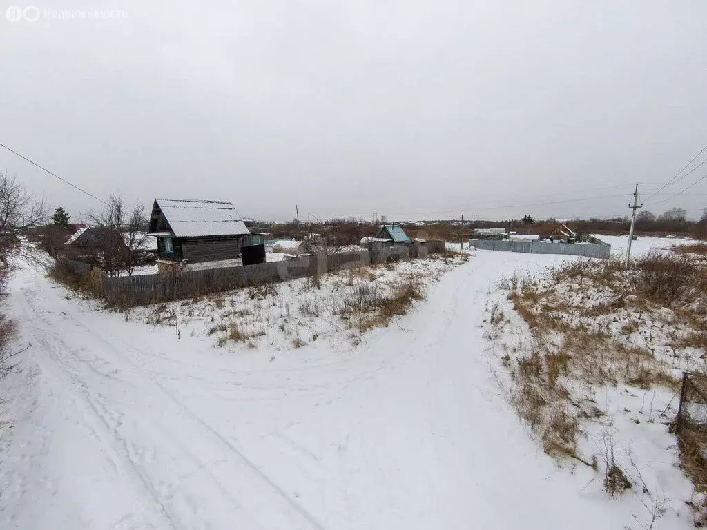 Участок в Тюмень, садовое товарищество Рябинка-2 (4 м) - Фото 2