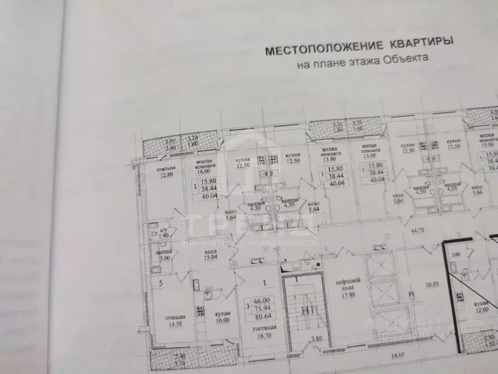3-к кв. Санкт-Петербург пос. Парголово, ул. Михаила Дудина, 25к2 (92.0 ... - Фото 1