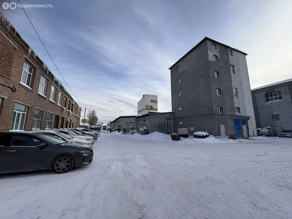 Помещение свободного назначения (61.1 м) - Фото 2