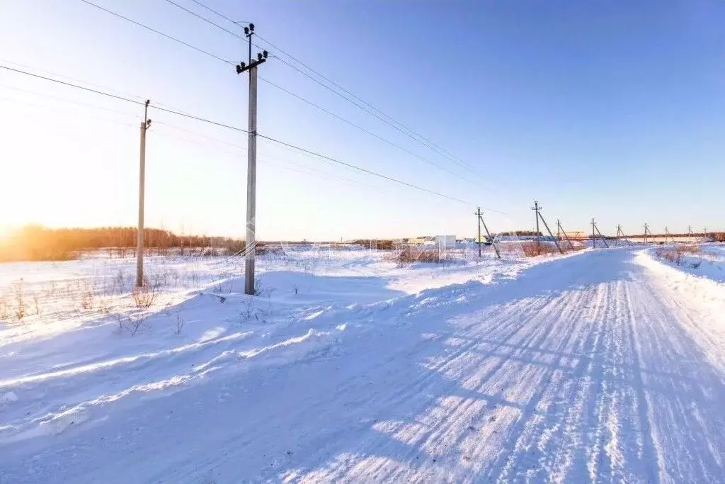 Участок в Тюменская область, Тюменский муниципальный округ, с. ... - Фото 1