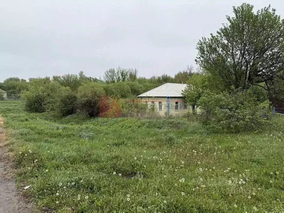 Дом в Белгородская область, Старооскольский городской округ, с. ... - Фото 0