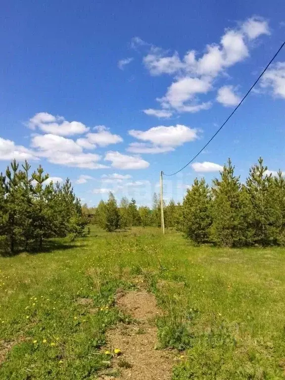 Участок в Челябинская область, Каслинский район, д. Григорьевка ул. ... - Фото 0