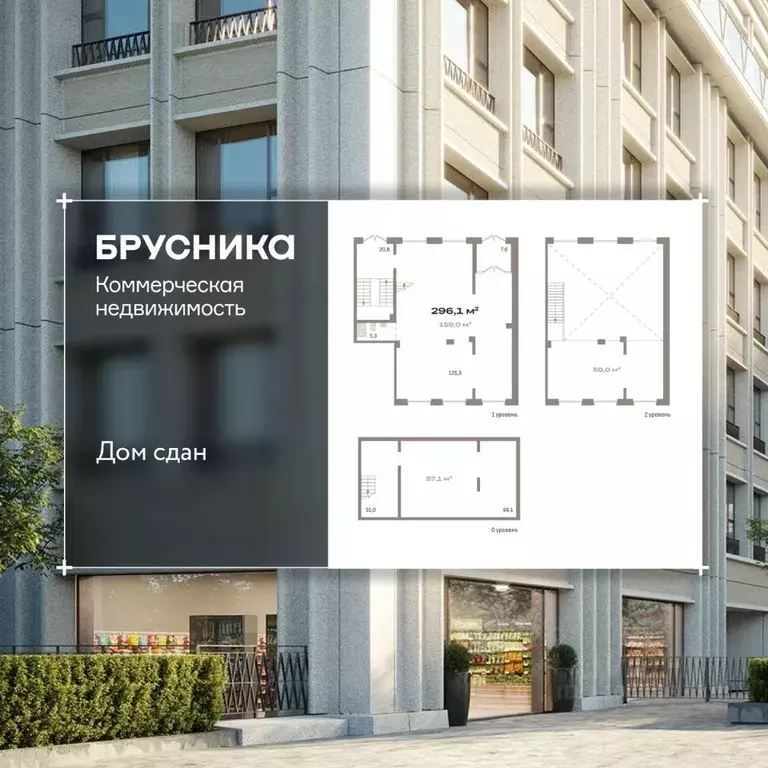 Помещение свободного назначения в Новосибирская область, Новосибирск ... - Фото 1