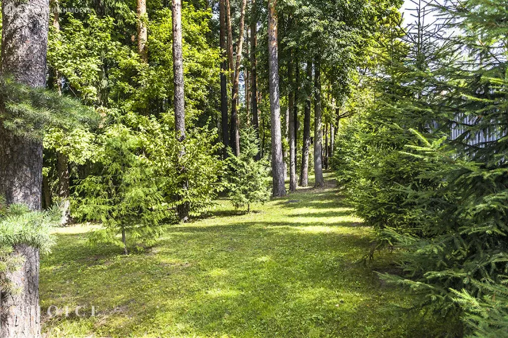 Участок в Одинцовский городской округ, рабочий посёлок Заречье (40 м) - Фото 1