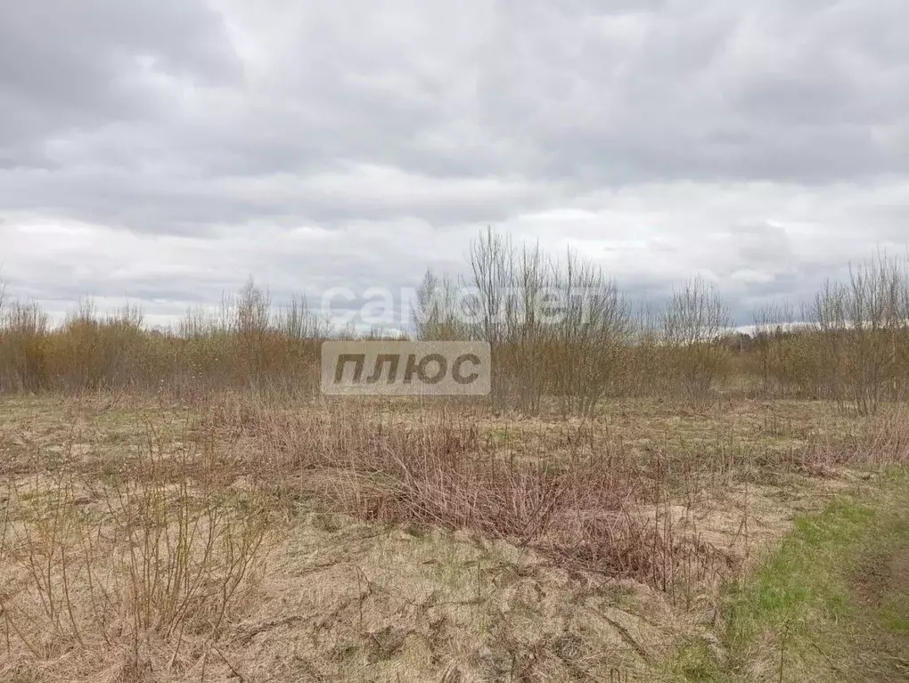 Участок в Ленинградская область, Тосненский район, Любанское городское ... - Фото 0