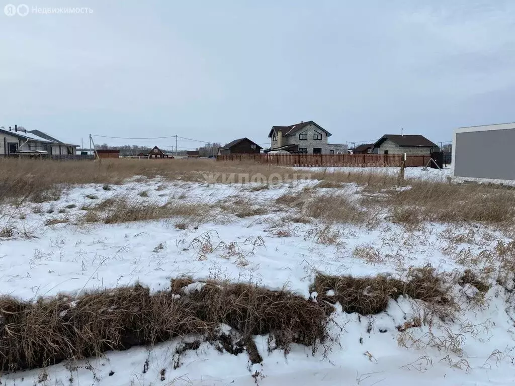 Участок в Ордынский район, Новопичуговский сельсовет (10 м) - Фото 1